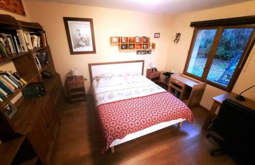 L'appel de la foret - Foto 11