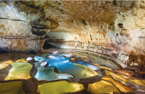 Petite Maison Campagne - Photo 20