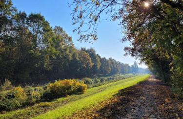 Leipziger Neuseenland Apartment - Foto 10