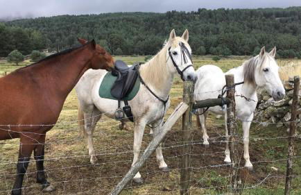 Artesano II - Foto 42