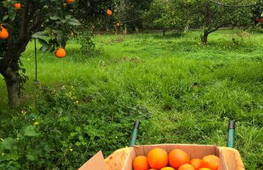 Spacious n comfortable Aloe Vera farm house - Photo 28