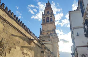 La Casa de la Mimosa - Foto 26