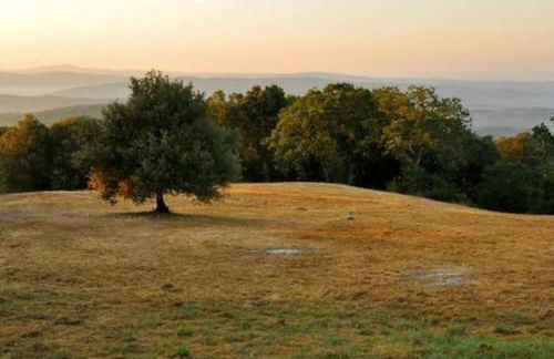 Podere Casa La Gualda - Foto 26