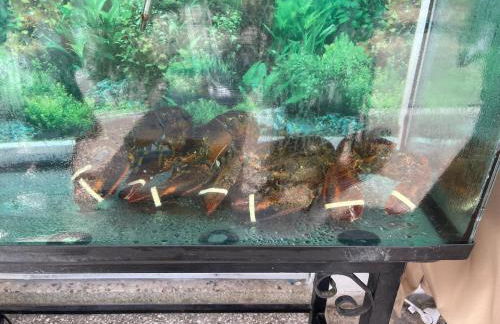 Beach Apartment B - Photo 38