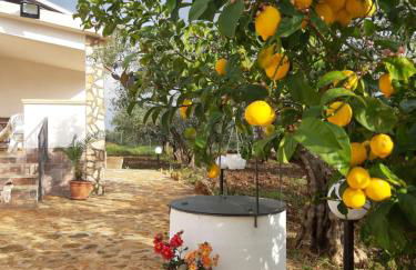 Casetta Relax da Antonio - Foto 13