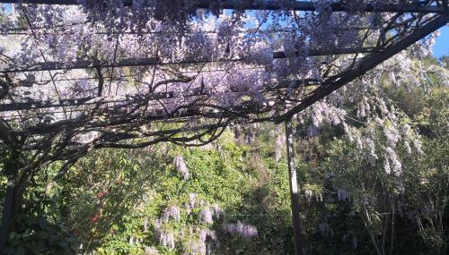 Alqueria De Hurdes - Foto 5