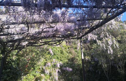 Alqueria De Hurdes - Foto 5