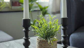 Ferienhaus Luthers Rast - Foto 4