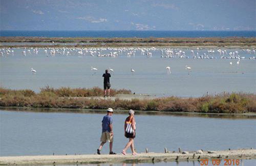 Home Style Apartment - Foto 29