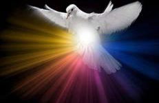 Le Logis des Templiers appartement climatisé - Foto 50