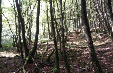 La Vache Tennis Privé - Foto 43