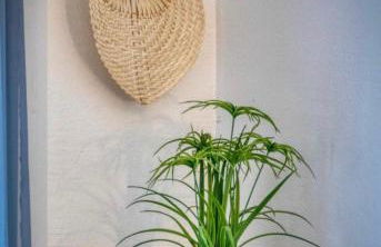 Le Giérois - Gare - Parking - Foto 21