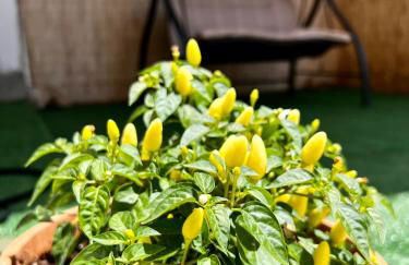 Monolocali Charlot - Foto 19