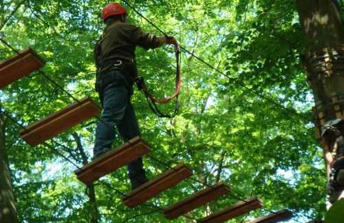 Oase Friedensthal - Foto 5