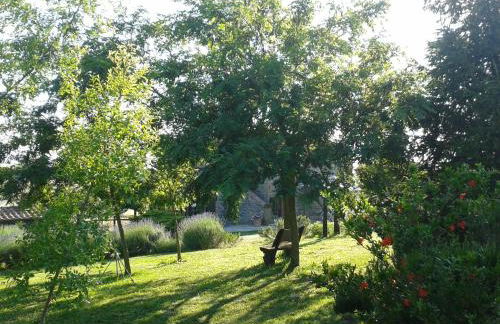 Agriturismo Cantinaccia di Sopra - Foto 47