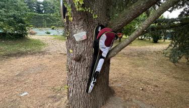 Les Oiseaux Résidence - Foto 4