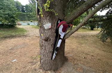 Les Oiseaux Résidence - Foto 4