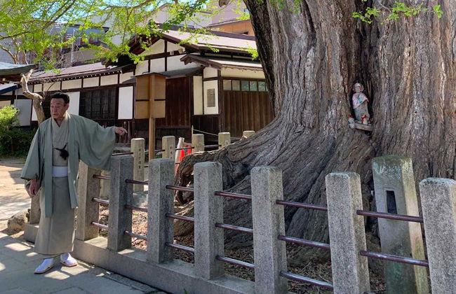 Takayama Guided Tour - Photo 6