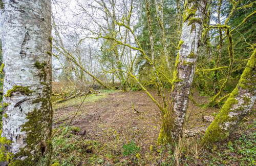 Rainforest Tiny Home Rustic - Foto 42