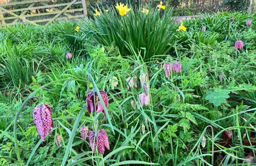 Simpers Drift, Great Glemham - Foto 15