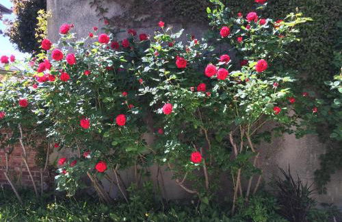 Maison individuelle dans ancienne ecurie - Foto 37