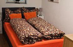 Ferienwohnung am Kirchberg Europa-Park Spassbad-Rulantica-Schwarzwald ,Frankreich, - Foto 18