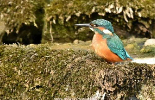 The Studio, spacious riverside property in Ludlow with private parking - Photo 22