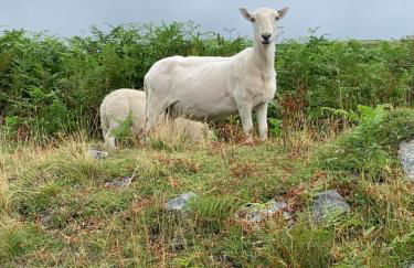 2 Bed Miner's Cottage With Log Burner, Pool Table & Mountain Views - Photo 19