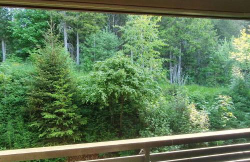 Black Forest Schwarzwaldliebe Pool Sauna Tennis Tischtennis Wifi Prime Tv Natur - Foto 37