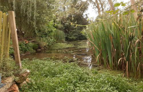 la maison des lavandières - Foto 31