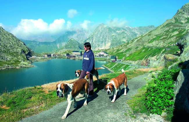 Chalet in Rhone Valley Near Ski Lift - Foto 27