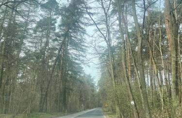 Domek Zacisze całoroczny - Foto 6