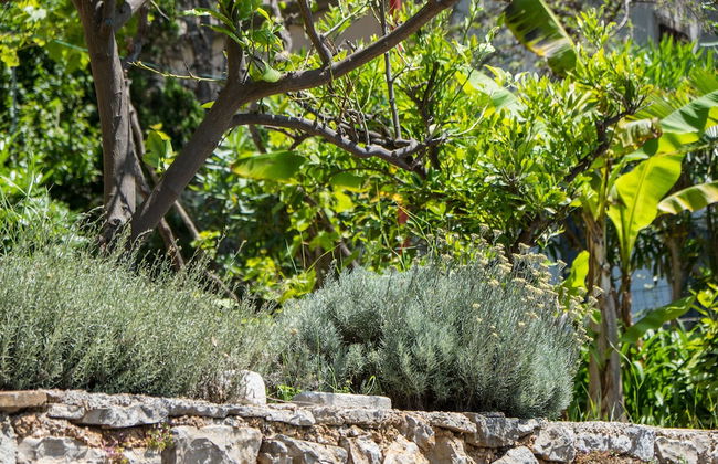 An Apartment Magnolia - Foto 26