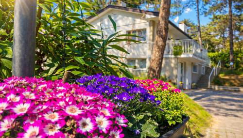 Villa Greif Pineta - Foto 5