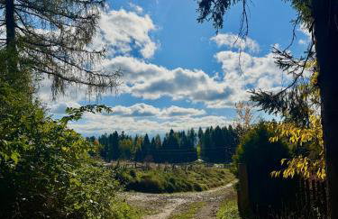 Domek pod Modrzewiem - Foto 6