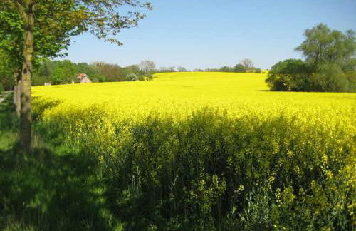 Ferienwohnungen "Christelhof" - Foto 13