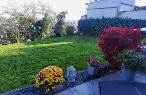 Rheinblick - Foto 17