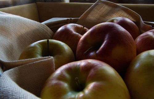 Apartments Ciasa Colz - Foto 19