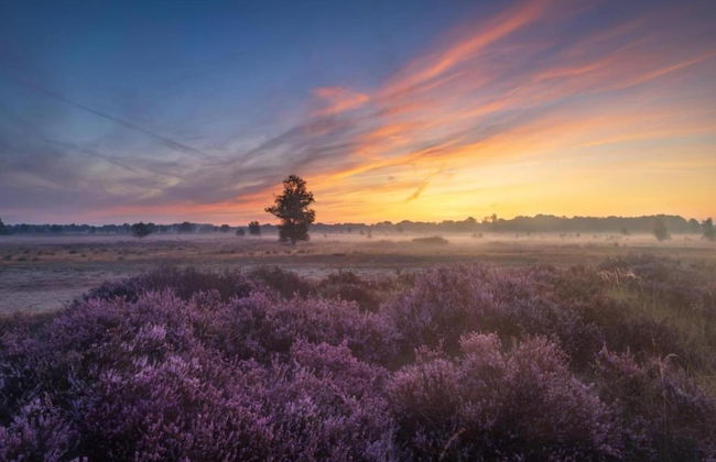 Stay at This Beautiful Accommodation in De Kiel - Photo 29