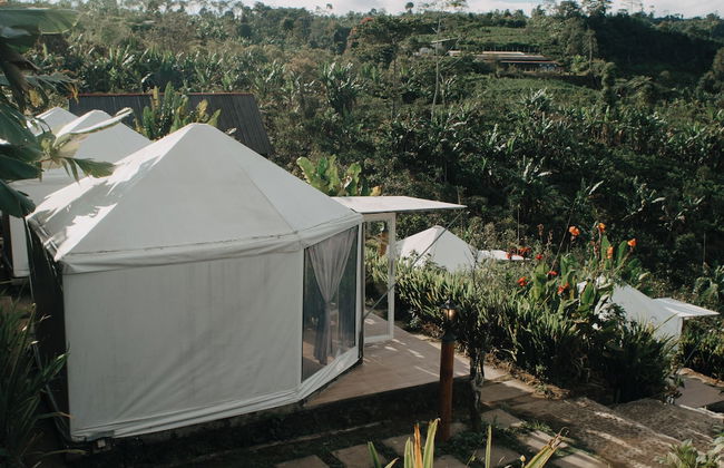 Alam Kita Glamping & Plantation - Foto 38