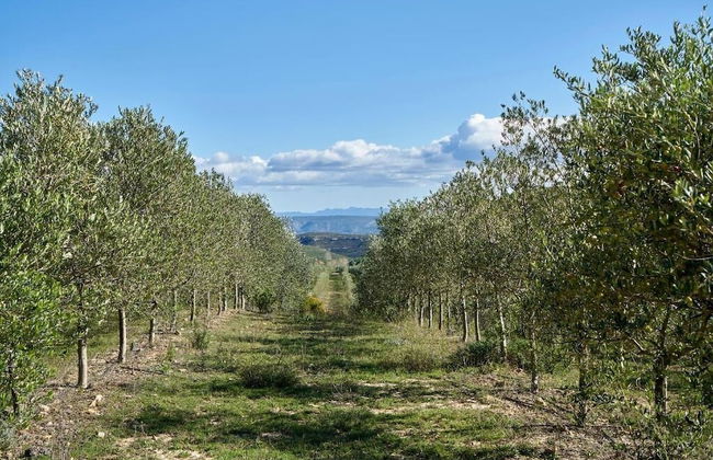 Masia Heredad La Boquilla - Foto 40