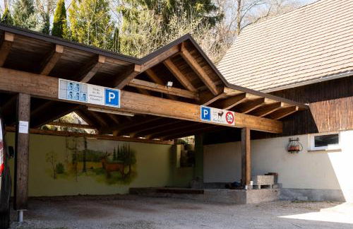 Ferienwohnungen Hirschen - Foto 49