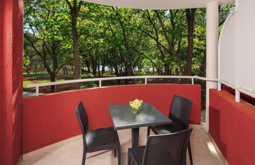 Apartments Stella Plava Laguna - Foto 58