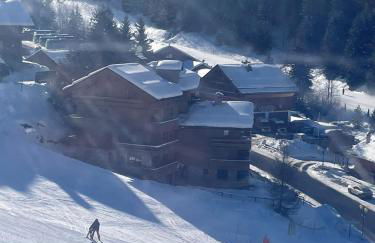 Meribel Centre La Chaudanne, real ski in and out right on slopes, 3 bedrooms 2 bathrooms, newly renovated, Chalet l'Épervière - Foto 29