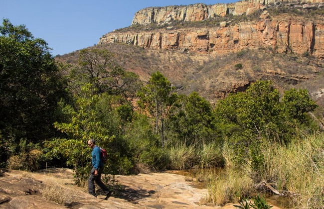 Blyde River Cabin Guesthouse - Foto 35