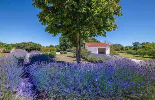 Villa Branko Istria - Foto 43