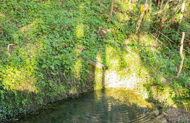 Chalé Diamante Negro - Urubici - SC - Foto 32