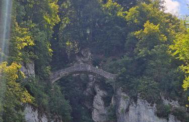 Alb - Lotte - Foto 21