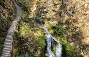 Ferienwohnung Schwarzwaldblick - Photo 41