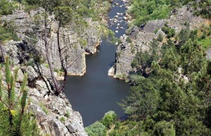 Casas do Almourão - Foto 41